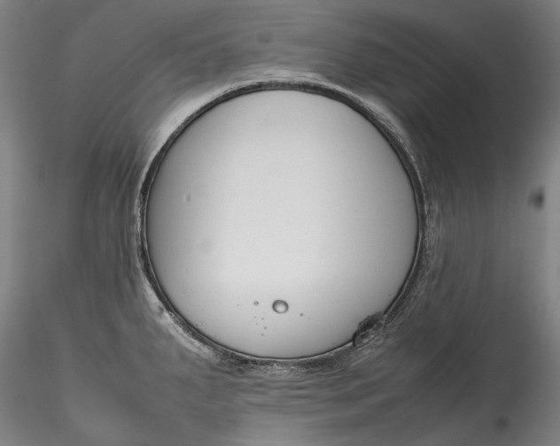 X0000115781287200911271156