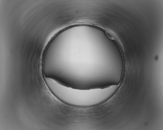 X0000115781288200911271156