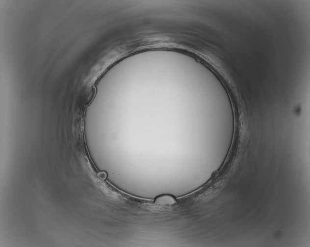 X0000115781289200911271156