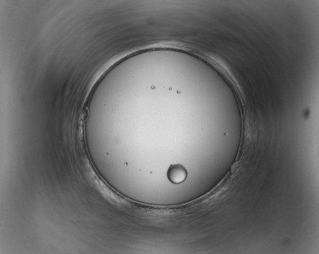 X0000115781292200911271156