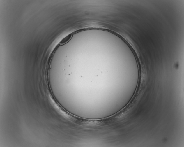 X0000115781293200911271156