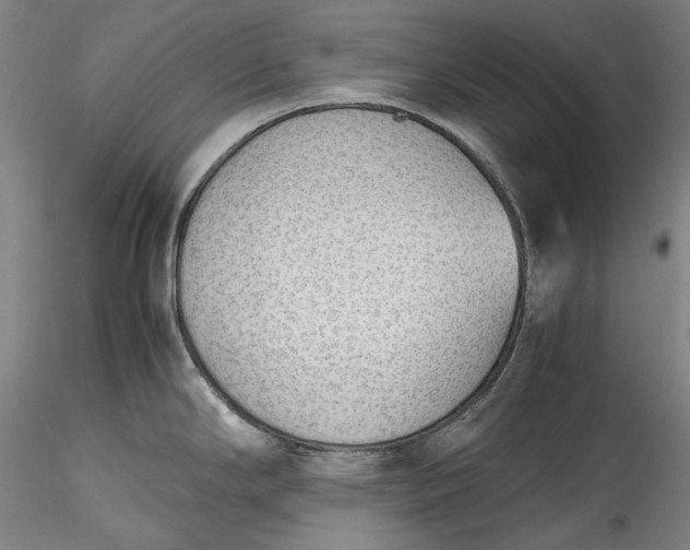 X0000115781294200911271156