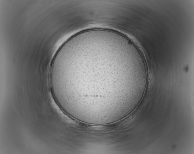 X0000115781295200911271156