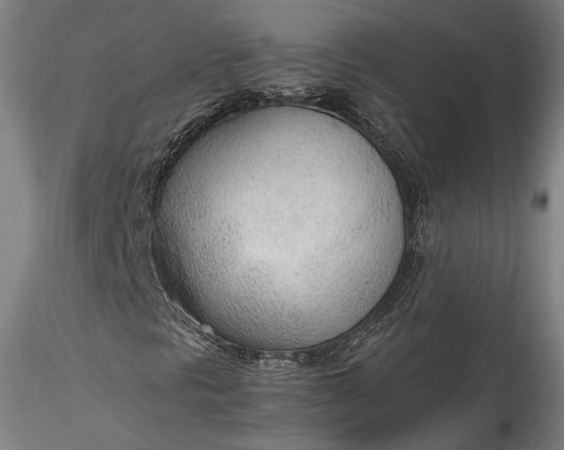 X0000115781297200911271155