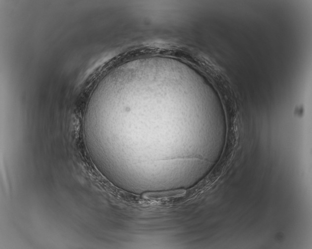 X0000115781302200911271155