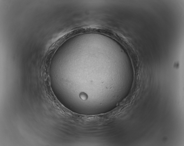 X0000115781303200911271155