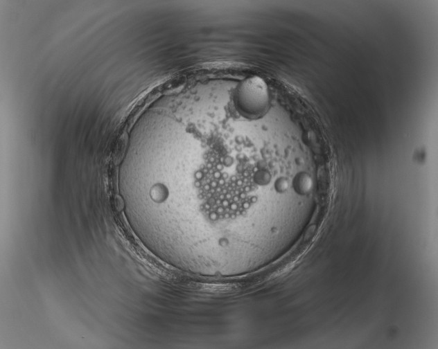 X0000115781305200911271155