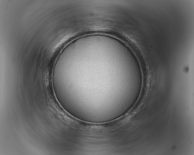 X0000115781306200911271155