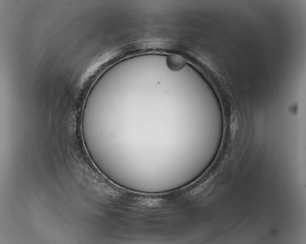 X0000115781309200911271155