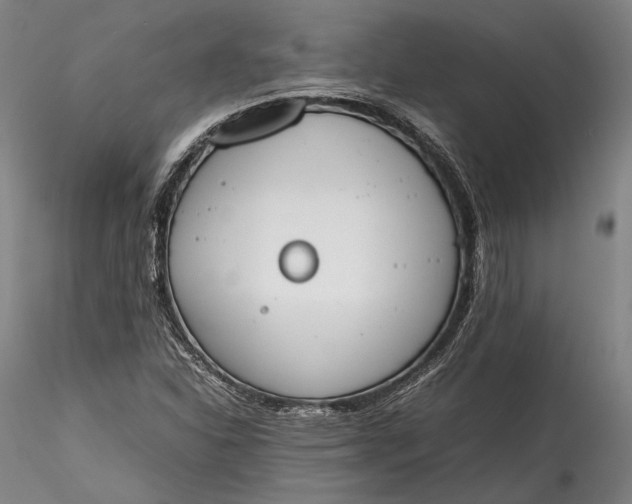 X0000115781310200911271155