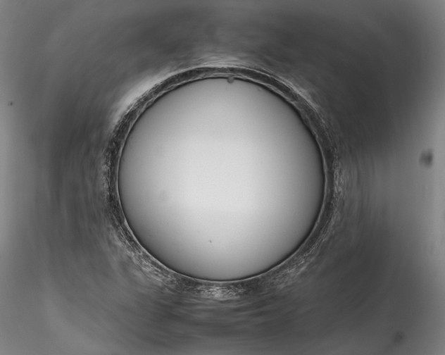 X0000115781311200911271155