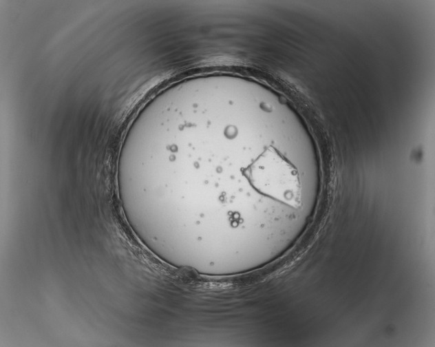 X0000115781313200911271155