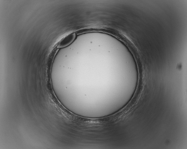 X0000115781315200911271155