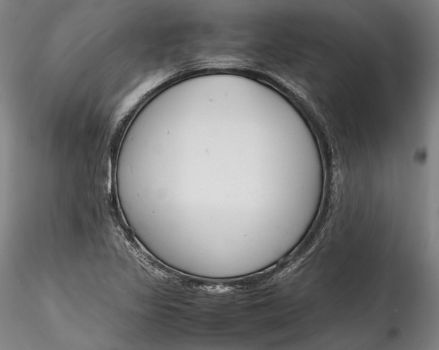 X0000115781317200911271155