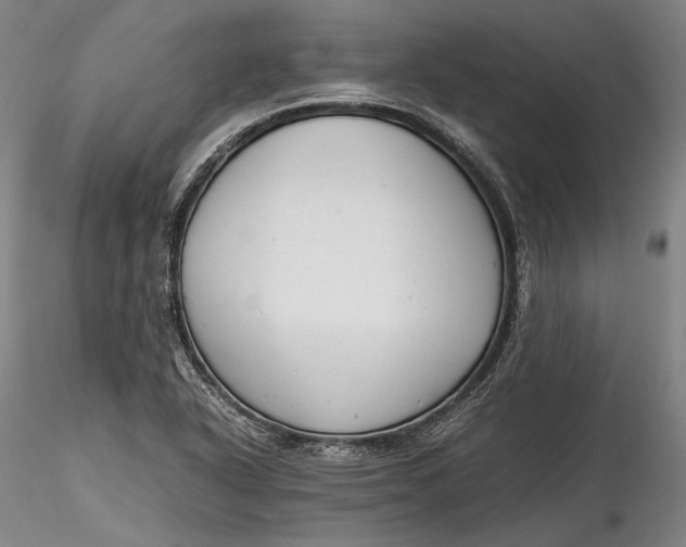 X0000115781318200911271155