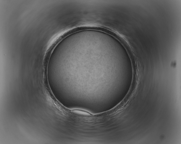 X0000115781319200911271155