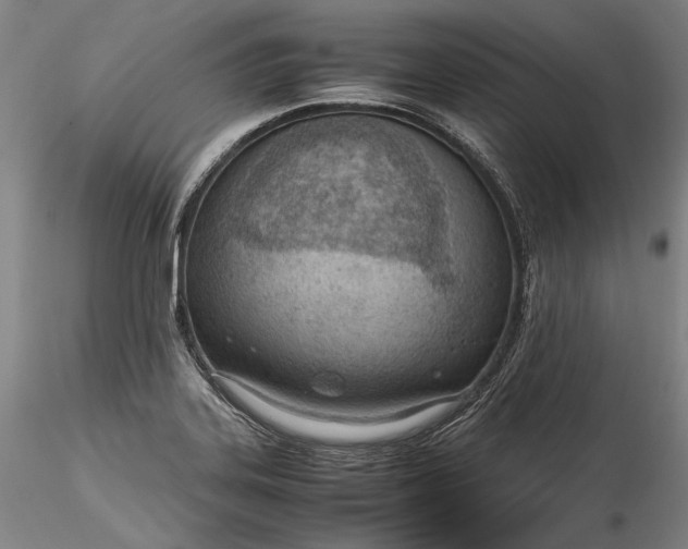 X0000115781323200911271155