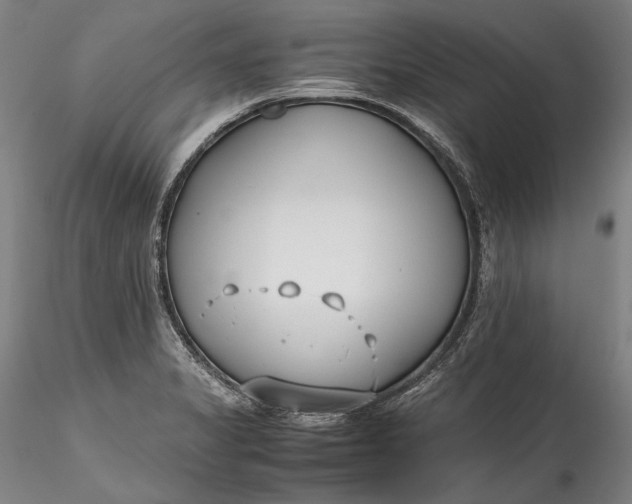 X0000115781325200911271155