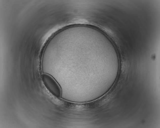 X0000115781326200911271155