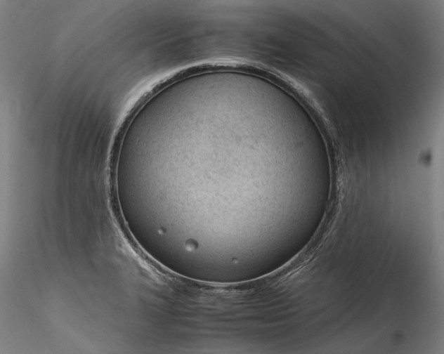 X0000115781327200911271155