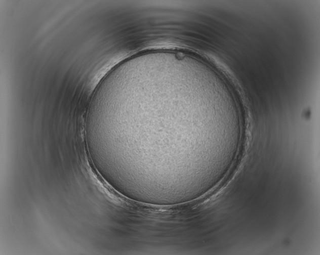 X0000115781329200911271155