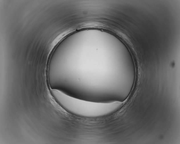 X0000115781330200911271155