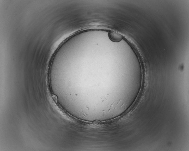 X0000115781333200911271155