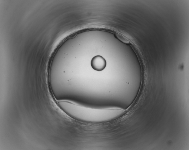 X0000115781334200911271155