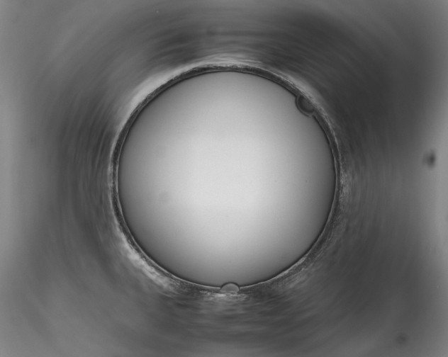 X0000115781335200911271155