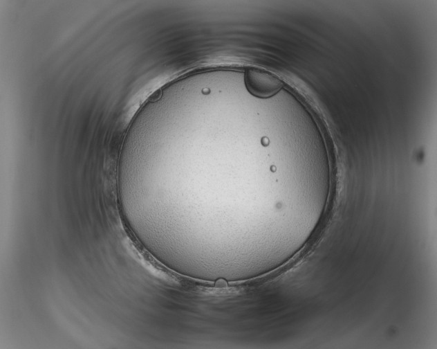 X0000115781337200911271155