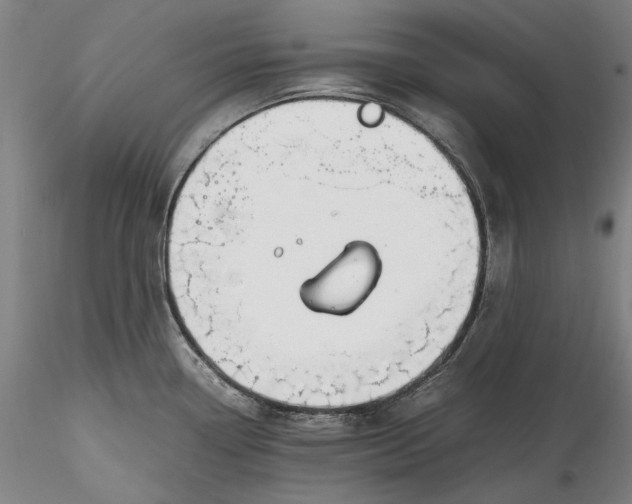 X0000115781338200911271155