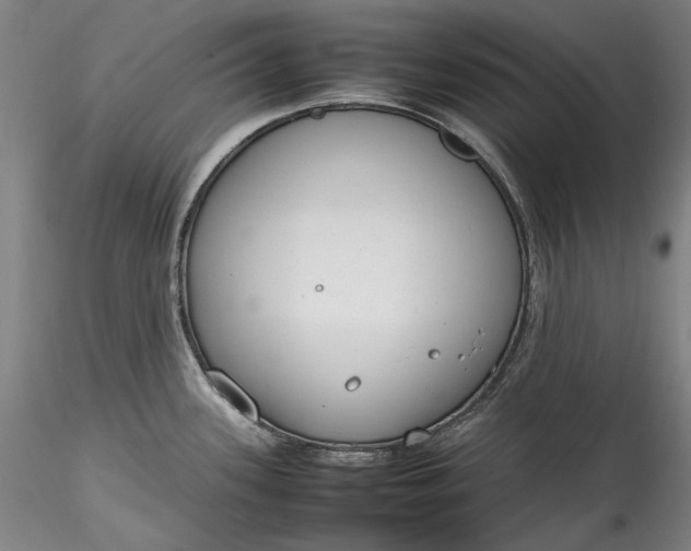 X0000115781339200911271155