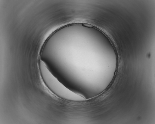 X0000115781342200911271156