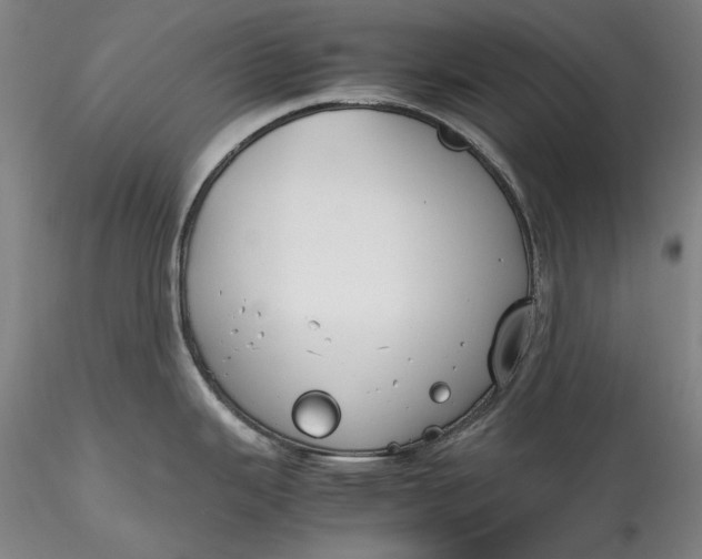 X0000115781343200911271156