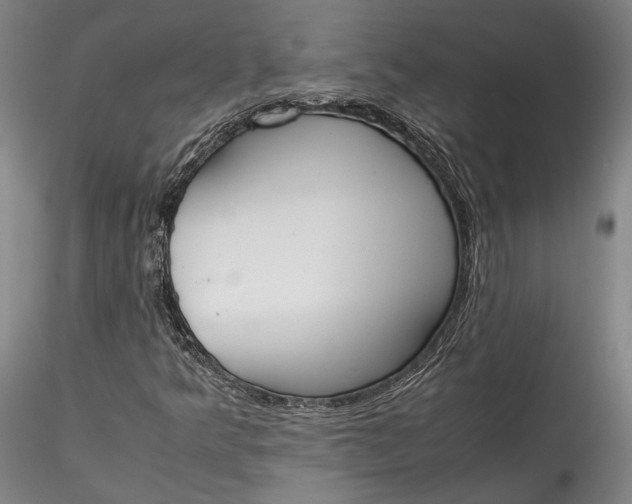 X0000115781349200911271155