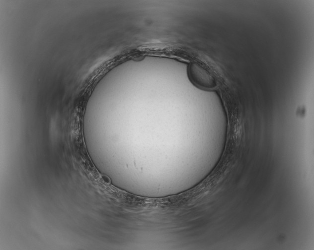 X0000115781350200911271155