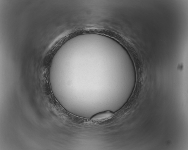 X0000115781351200911271155