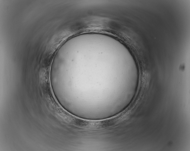 X0000115781353200911271155