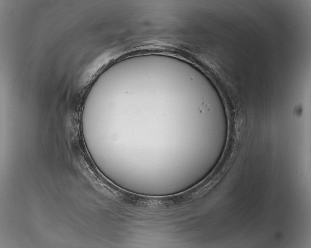 X0000115781355200911271154