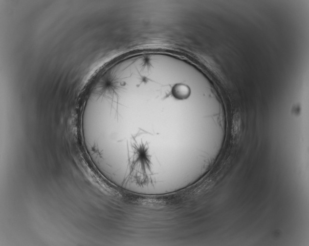 X0000115781356200911271154