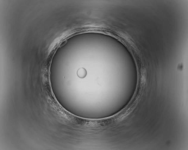 X0000115781357200911271154