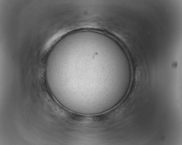 X0000115781359200911271154