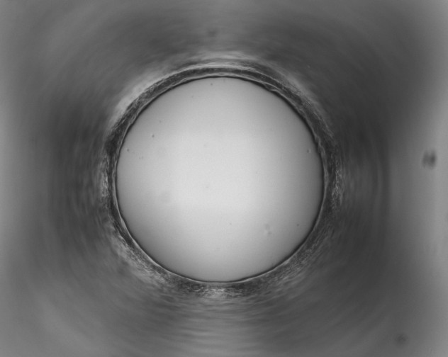 X0000115781360200911271154