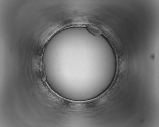 X0000115781361200911271154