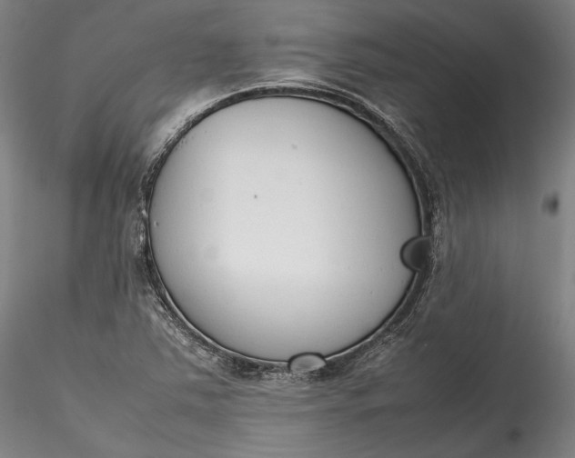 X0000115781363200911271154