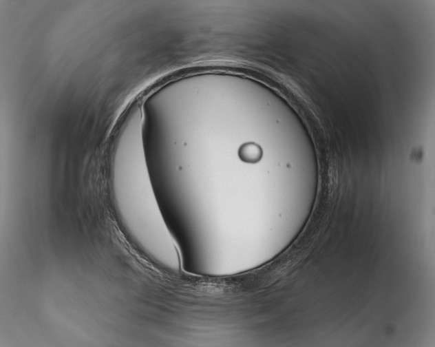 X0000115781364200911271154