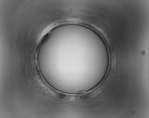 X0000115781365200911271154