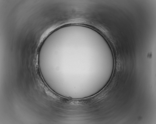 X0000115781366200911271154