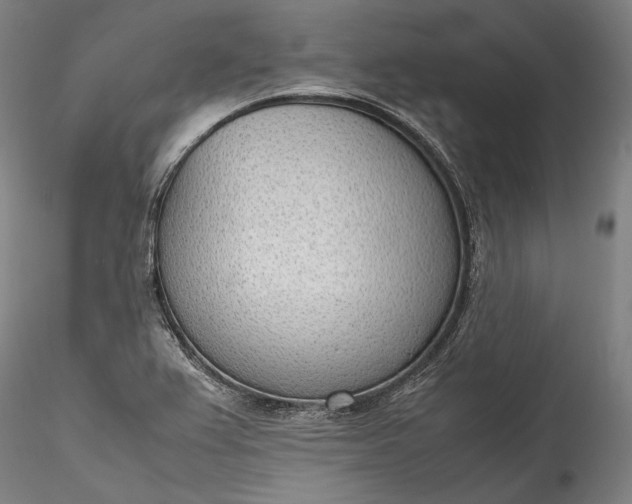 X0000115781367200911271154