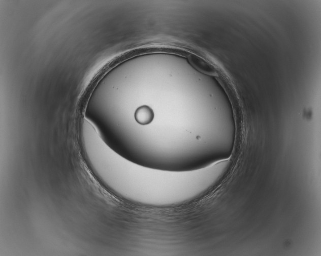 X0000115781368200911271154